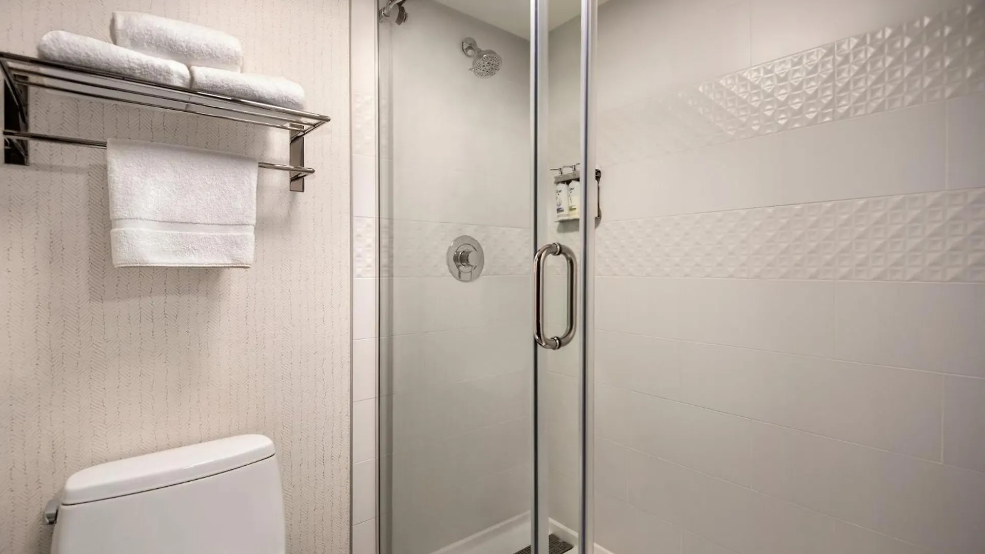 Holiday Inn & Suites Vancouver Downtown By Ihg 3*,
